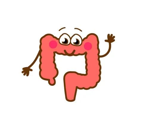 Intestines on a white background. Cartoon. Vector. Stock Illustration