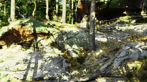 Intimate ground view showcases natural textures and botanical elements Video stock 339621937