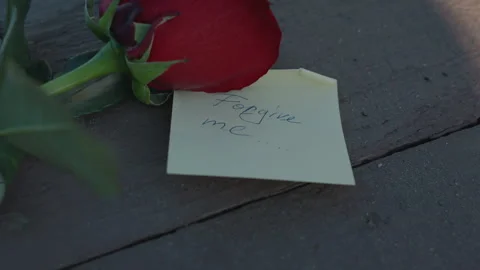 Intimate scene capturing apology with delicate rose and warm light. Nostalgic Stock Footage 332617935