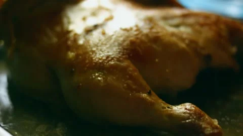 Intimate spoon coating roasted poultry with pale gravy in tight shot, 4K Stock Footage 341105636