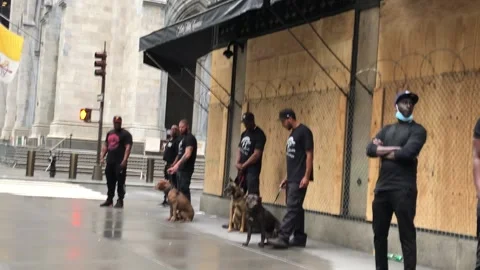 Intimidating security guards with rabid dogs protect store during NYC riots Stock Footage 139886331