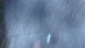 Intoxicated male shoes moving on forest path, staggering drunkard walking city 4k or 4k+ Resolution