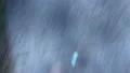 Intoxicated male shoes moving on forest path, staggering drunkard walking city HD Footage