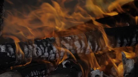 The Intoxicating Dance of Flame  A Captivating Blaze in the Wild Stock Footage 327517010