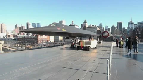 Intrepid Blackbird Wide Video stock 10572377