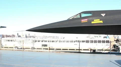 Intrepid Pan on Blackbird Stock Footage 10576734