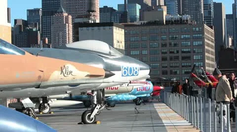 Intrepid Visitors Stock Footage 10576766