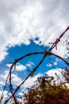 Intresting barbed wire on vertical background of blue sky with clouds and leaves Stock Photos