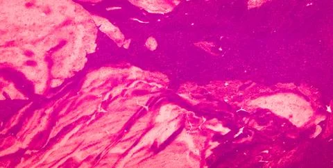 The Intricacy of Patterned Textures in Artistic Design Stock Illustration