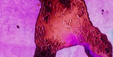 The Intricacy of Patterned Textures in Artistic Design Stock Illustration