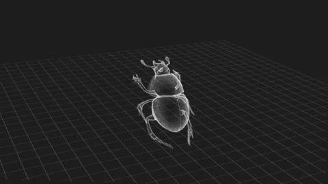 Intricate 3D Beetle Model Render: Wireframe Visualization Art in Monochrome.. 库存影片 342781581