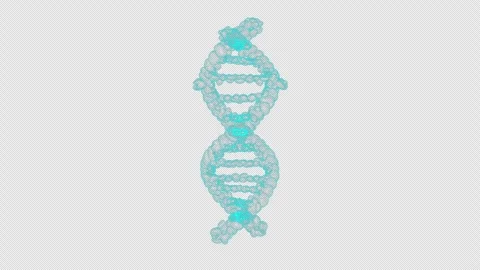 Intricate 3D Digital Representation of DNA Structure on Black Background 库存影片 339119071