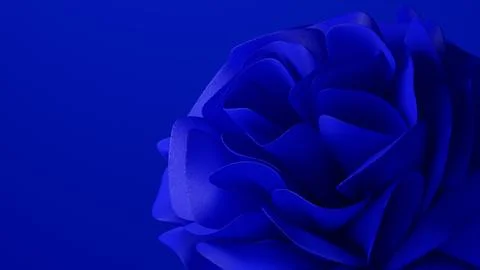 Intricate 3d illustration with layered blue wavy curves. Stock Illustration