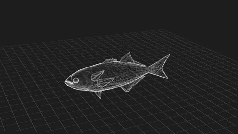 Intricate 3D Wireframe Fish Render on Dark Grid Background in Perspective 库存影片 342781605
