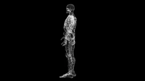 Intricate 3D Wireframe Human Skeleton Model on Black Background Stock Footage 339053104
