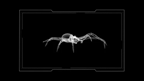 Intricate 3D Wireframe Spider Model on Black Background Highlighting Detail.. 库存影片 342376084
