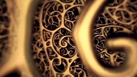 Intricate abstract patterns flow through golden textures and designs Stock Footage 320397516