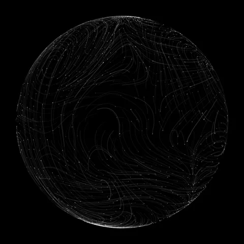 Intricate Black and White Spherical Abstract Art with Flowing Patterns Stock Footage 341778611