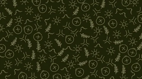Intricate botanical pattern design with delicate plant and sun motifs in su.. Video stock 320816701