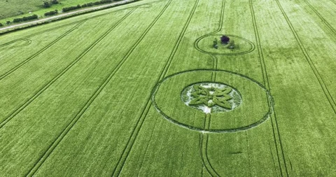 Intricate Celtic knot crop circle formation aerial view over Sutton Veny barley Stock Footage 310361919