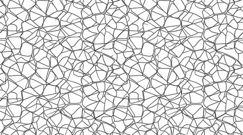 Intricate cracked geometric web pattern with fine black lines on white pape.. Stock Illustration