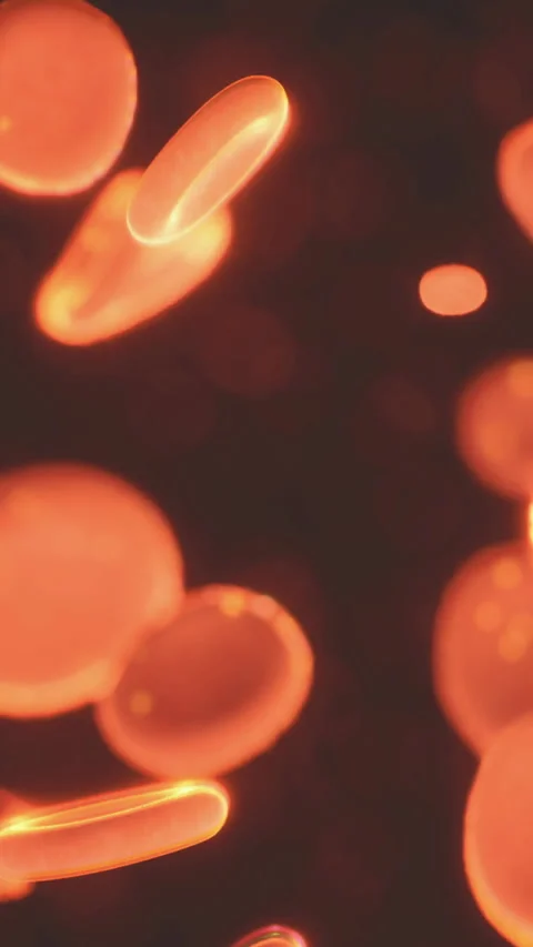 Intricate dance of red blood cells under the microscope in a dark setting Stock Footage 320304045