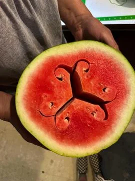 An intricate design inside a split watermelon Stock Photos