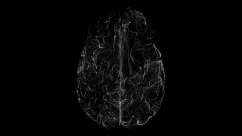 Intricate Digital Brain Model Illustrating Neural Networks and Complexity Stock Footage 341778679