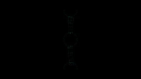 Intricate Digital DNA Helix Structure Against Black Background Stock Footage 341780305