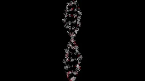 Intricate DNA Helix Model in Abstract Digital Art with Red Highlights on Bl.. Stock Footage 341778695