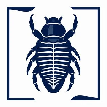 Intricate flat vector illustration of a single prehistoric trilobite fossil.. Illustrazione stock