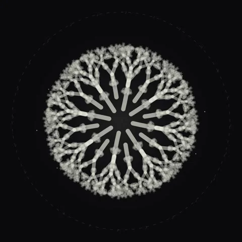 Intricate fractal pattern structure symbolizing growth and complexity on bl.. Vídeo Stock 345689262