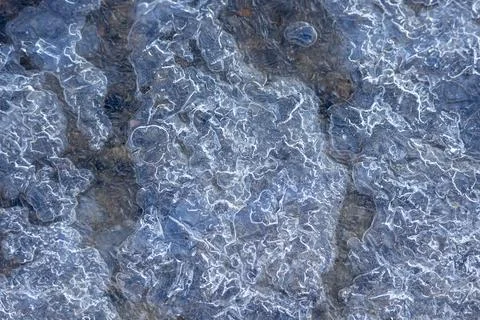 Intricate fractal patterns forming on a thin layer of ice over a frozen puddl Stock Photos