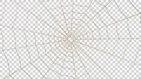 Intricate golden spider web network graphic isolated on a transparent background Stock Illustration