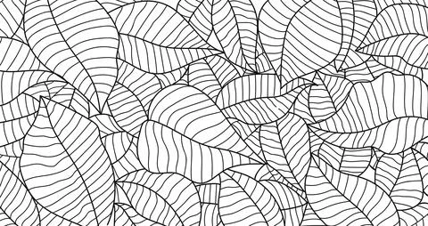 Intricate hand-drawn leaves pattern in black isolated on white background.V.. Stock Illustration