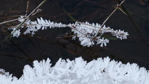 Intricate ice formations on the edges of a stream, North Pennines, Teesdale, UK Stock Footage 297694504