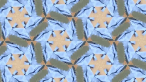 An intricate kaleidoscope pattern featuring a harmonious blend of earthy br.. Stock Footage 305524655