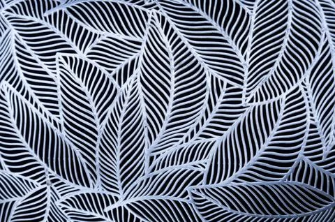 Intricate Leaf Pattern: Elegant Silver Filigree on Black Background - Desig.. Fotos de archivo