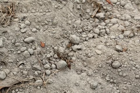 An Intricate Macro View of Parched Ground and Cracked Mud Patterns Stock Photos
