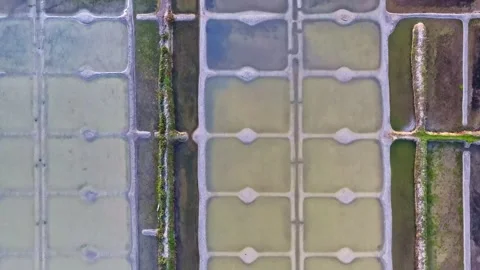 The Intricate Network of Salt Flats, Reflecting the Clear Skies Above, in Le Stock Footage 334365225