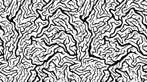 Intricate neural network style pattern with black branching lines on white .. Stock Illustration