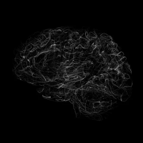 Intricate Neural Network Visualization of a Human Brain Structure in Monoch.. Stock Footage 341778592