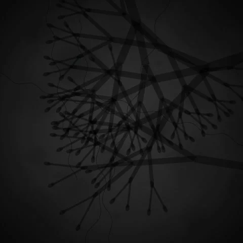 Intricate organic network of twisting roots and shadowy branches on a dark .. Stock Footage 345690071