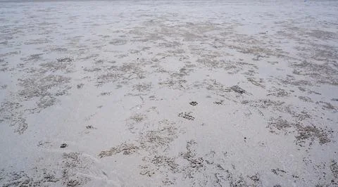 An Intricate Pattern Of Small Holes Adorns The Expanse Of Pristine White Sand Stock Photos