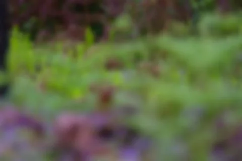 Intricate patterns made by blurred greenery , rock and mud Stock Photos