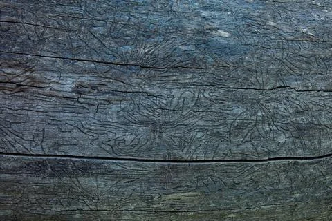 Intricate patterns. Stock Photos