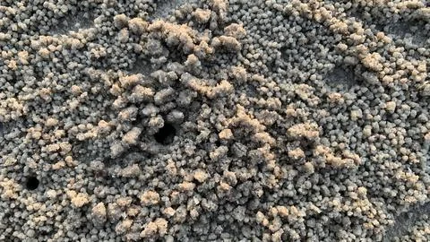 Intricate patterns of sand formations reveal tiny crab holes in the beach Stock Photos