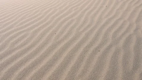 Intricate patterns sculpted by wind erosion on the flowing texture of a Stock Footage 317688719