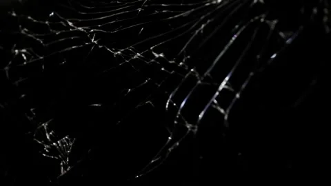 The intricate patterns of a spider's web come to life as light shines through it Stock Footage 292761585