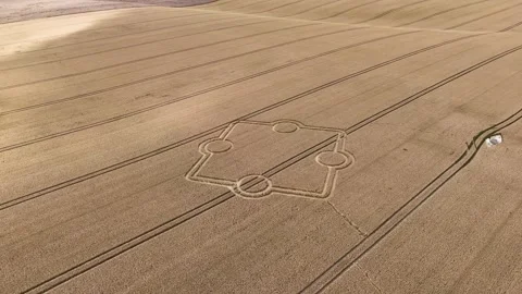 Intricate patterns in wheat field, crop circle mystery performance aerial Video stock 282182200